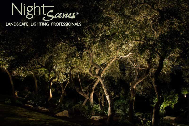 5 Texas Outdoor Lighting Ideas Nightscenes Landscape Lighting
